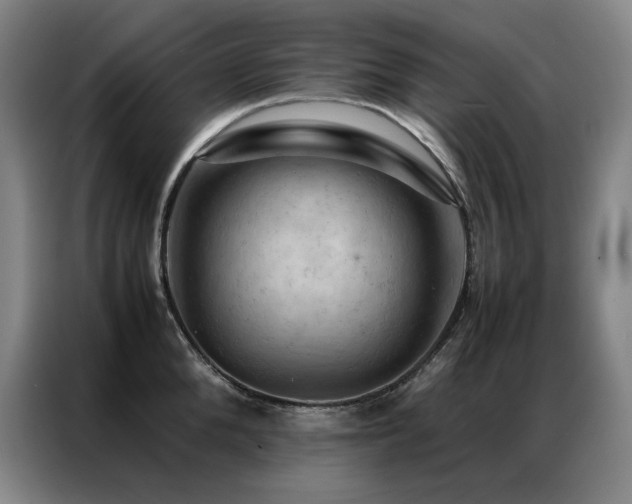 X0000087370904200704201226
