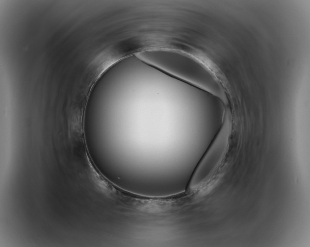 X0000087370905200704201225