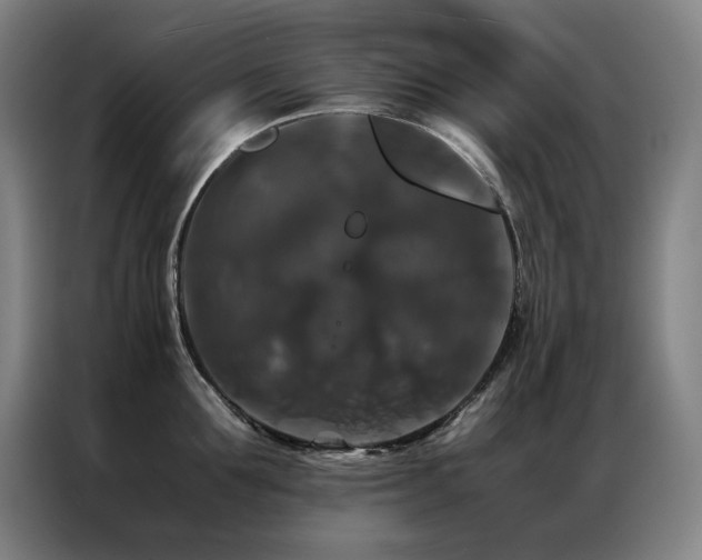 X0000087370907200704201225