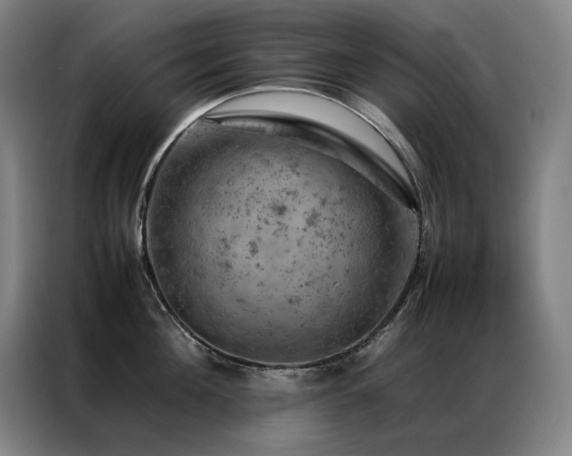 X0000087370908200704201225