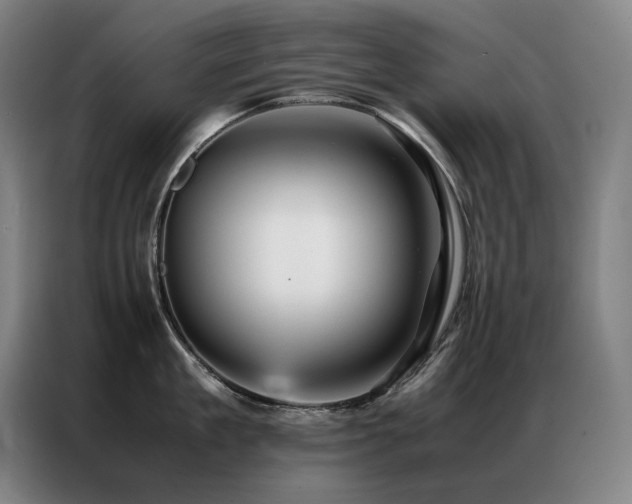 X0000087370909200704201225