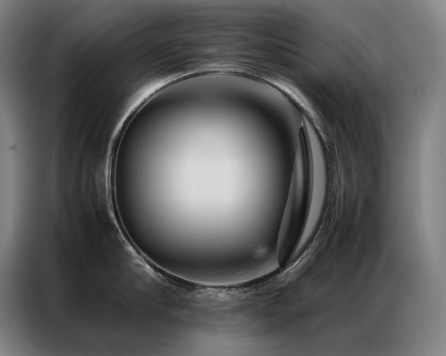 X0000087370910200704201225