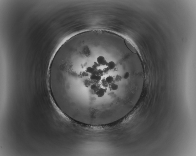 X0000087370911200704201225