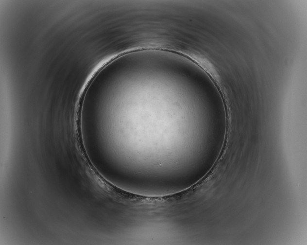 X0000087370912200704201225