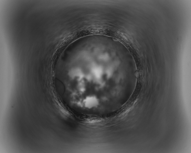 X0000087370913200704201225