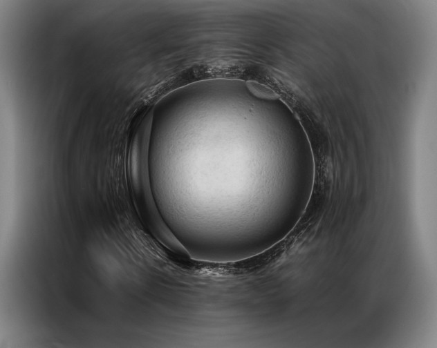 X0000087370914200704201225