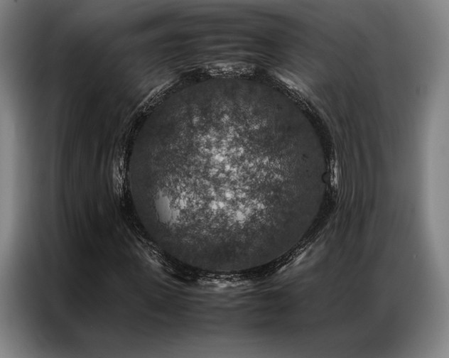 X0000087370915200704201225