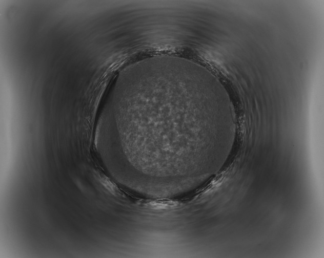 X0000087370916200704201225