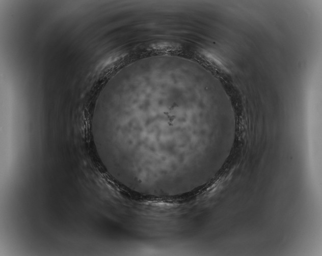 X0000087370917200704201225
