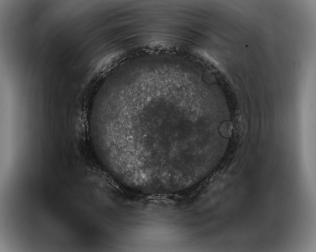 X0000087370918200704201225