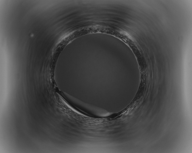 X0000087370919200704201225