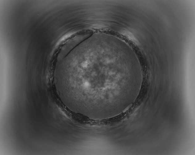 X0000087370920200704201225