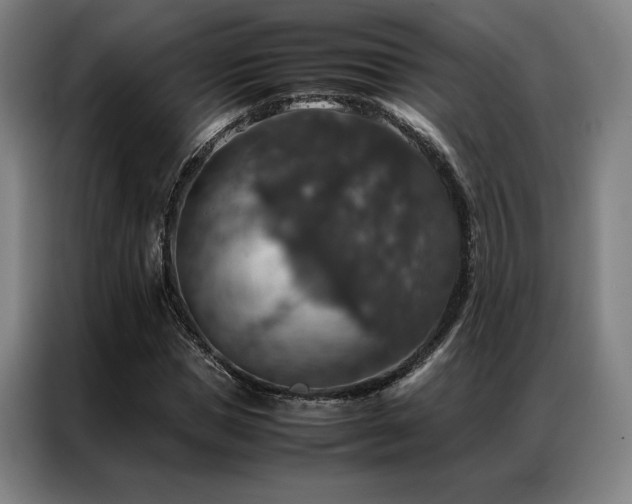 X0000087370921200704201225