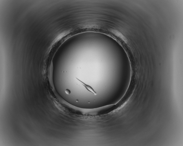 X0000087370922200704201225