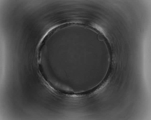 X0000087370923200704201225
