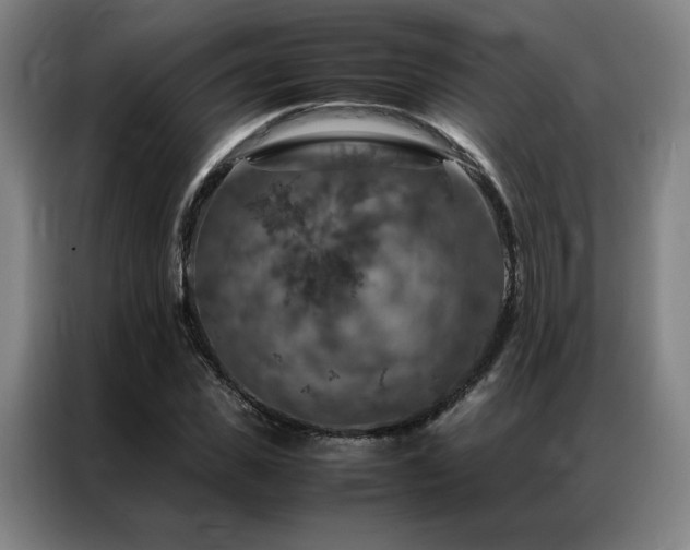X0000087370925200704201225
