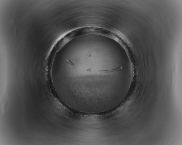 X0000087370926200704201225