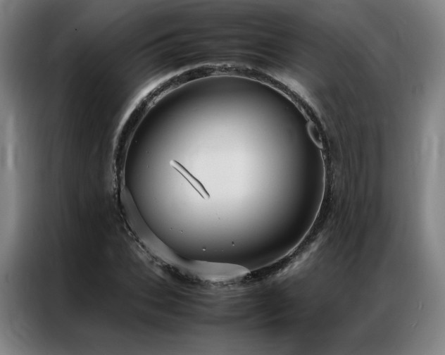 X0000087370927200704201225