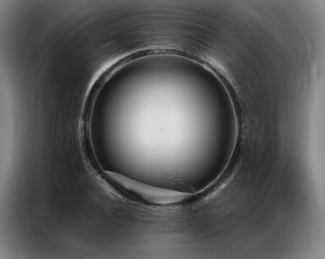 X0000087370928200704201225