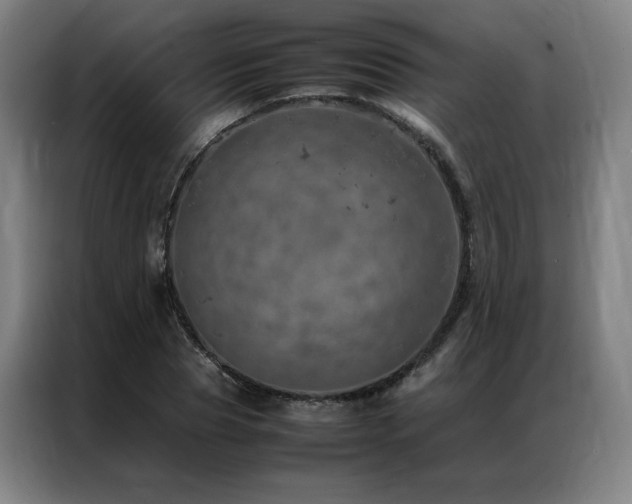 X0000087370929200704201225