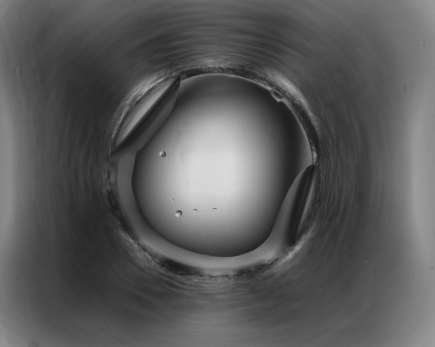 X0000087370930200704201225