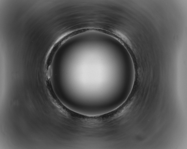 X0000087370931200704201225