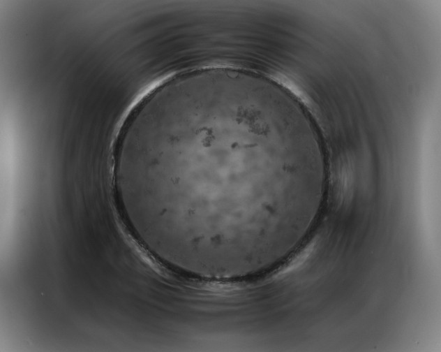 X0000087370933200704201225