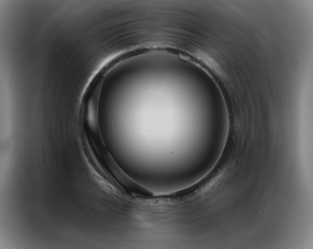 X0000087370934200704201225