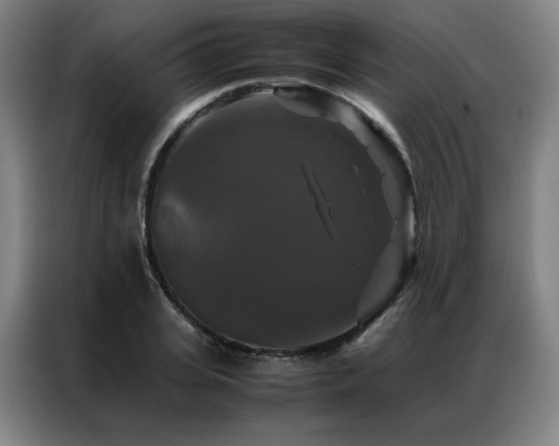 X0000087370935200704201225
