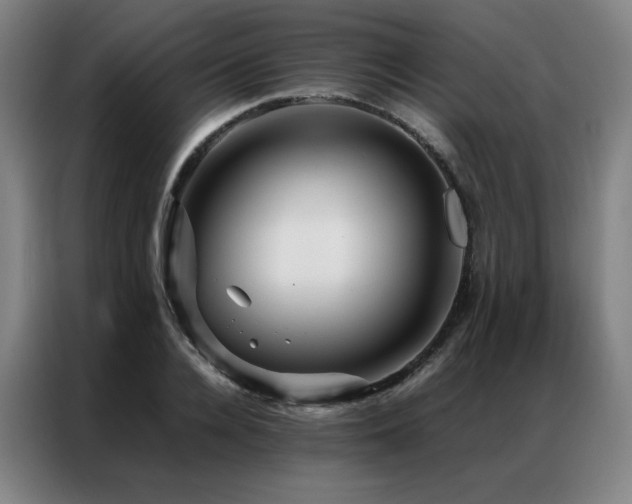 X0000087370936200704201225