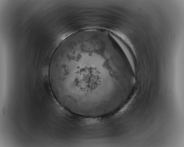 X0000087370937200704201225