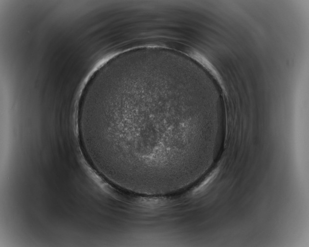 X0000087370939200704201225
