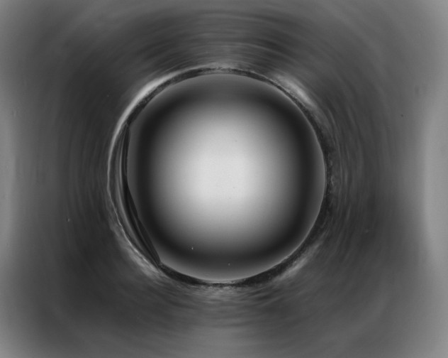 X0000087370940200704201225