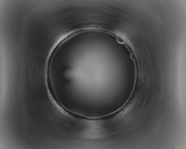 X0000087370941200704201225