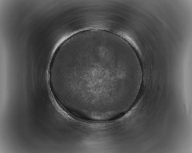 X0000087370944200704201225