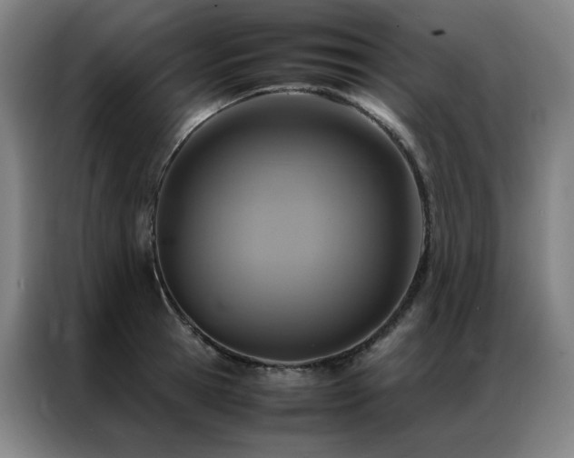 X0000087370945200704201225