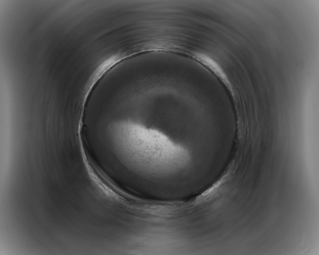 X0000087370946200704201225