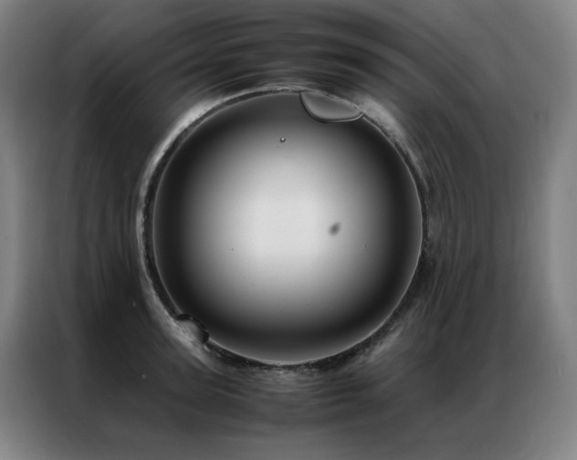 X0000087370947200704201225