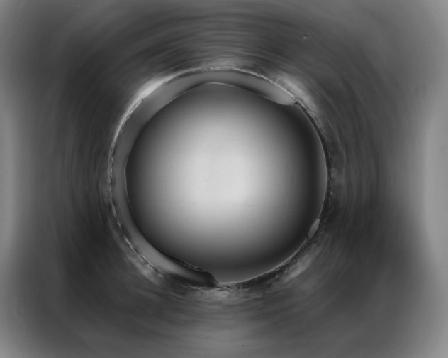 X0000087370948200704201225