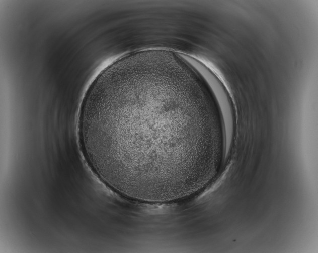 X0000087370949200704201225