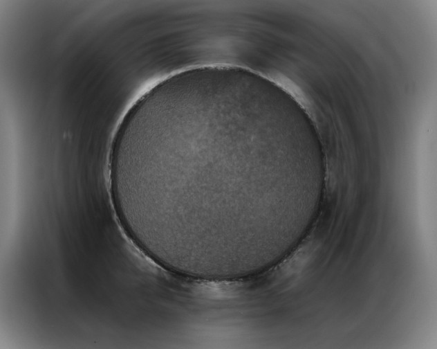 X0000087370950200704201225