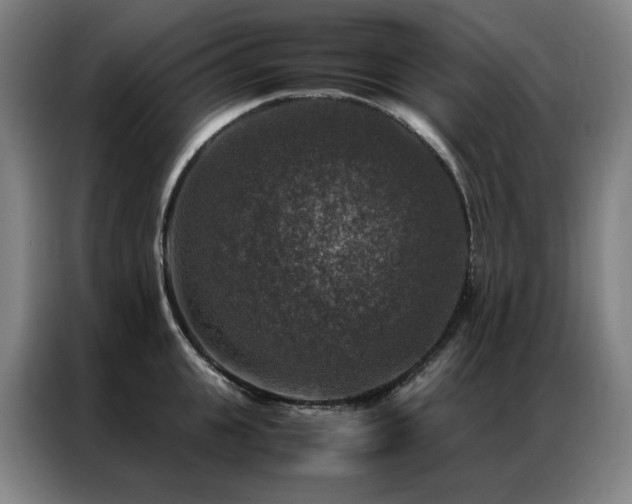 X0000087370951200704201225