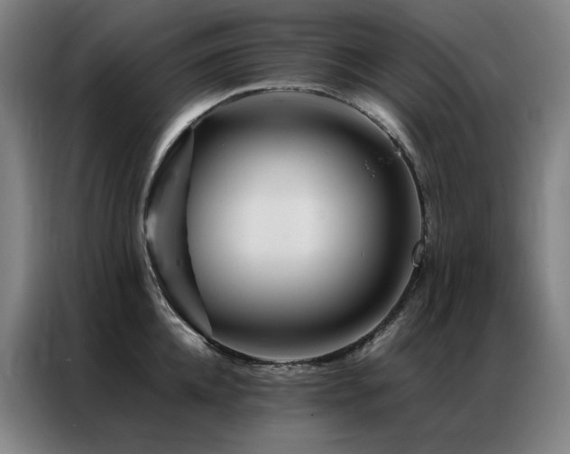 X0000087370952200704201225