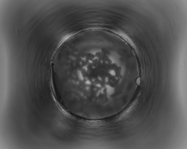 X0000087370953200704201225