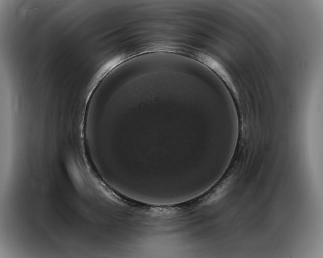 X0000087370954200704201225