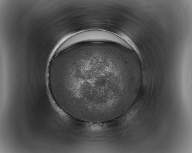 X0000087370955200704201225