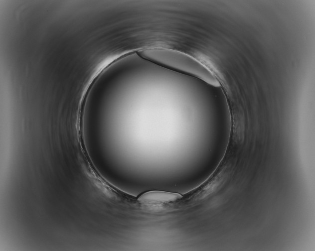 X0000087370956200704201225