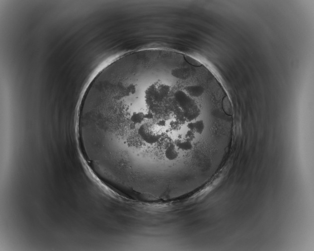 X0000087370957200704201225