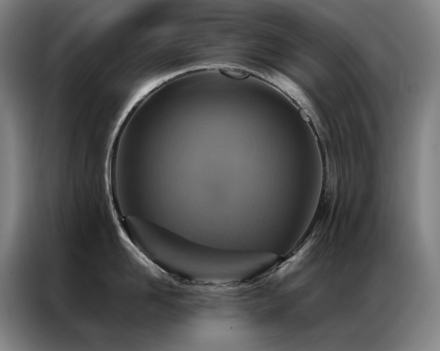 X0000087370958200704201225