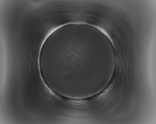 X0000087370959200704201225